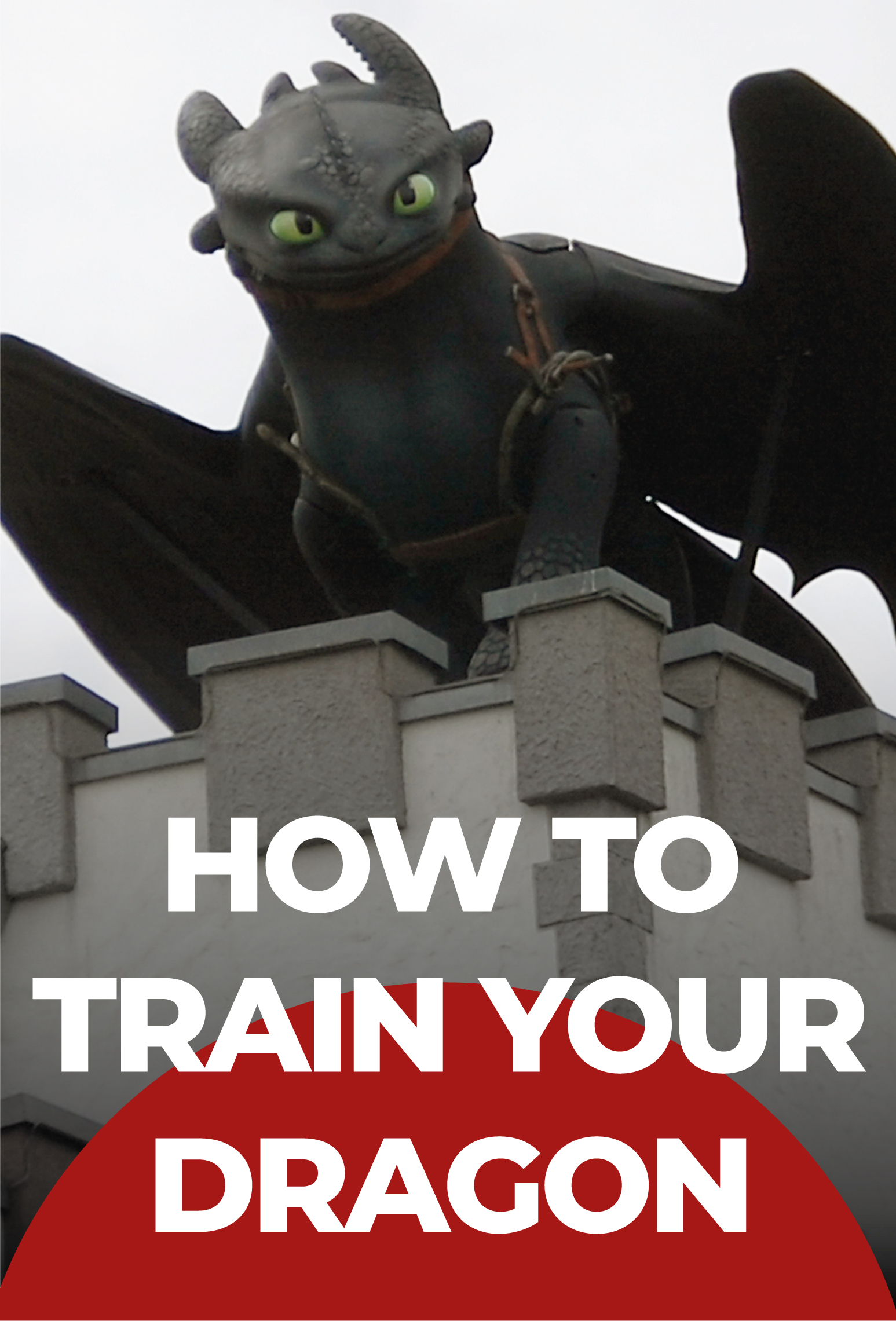 How To Train Your Dragon